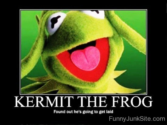 Kermit The Frog Found Out He's Going-mu420