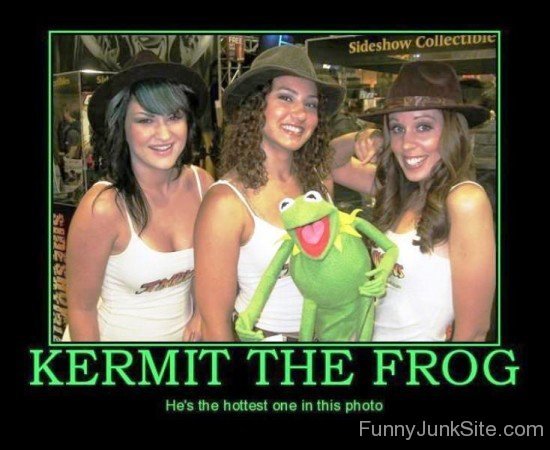 Kermit The Frog He's The Hottest-mu421