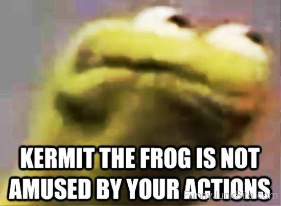 Kermit The Frog Is Not Amused-mu422