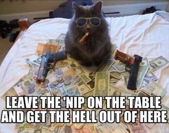 Leave The Nip On The Table-wm431