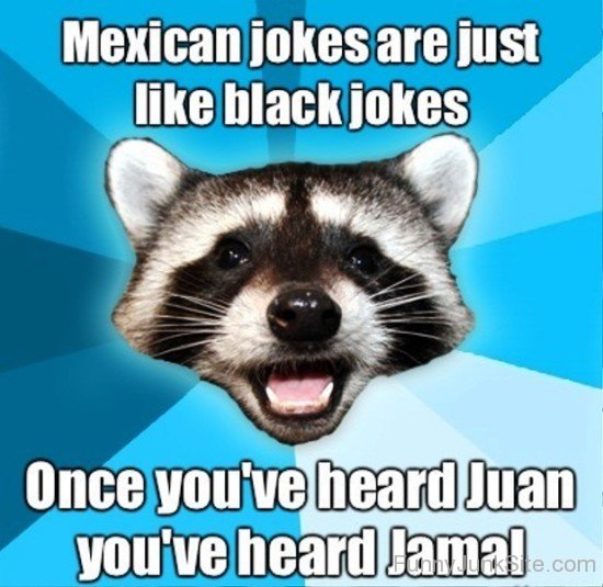 Mexican Jokes Are Just Like Black Jokes-rv418