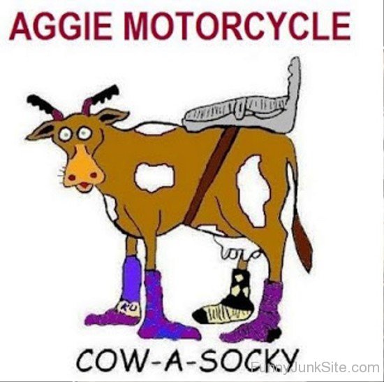 Aggie Motorcycle