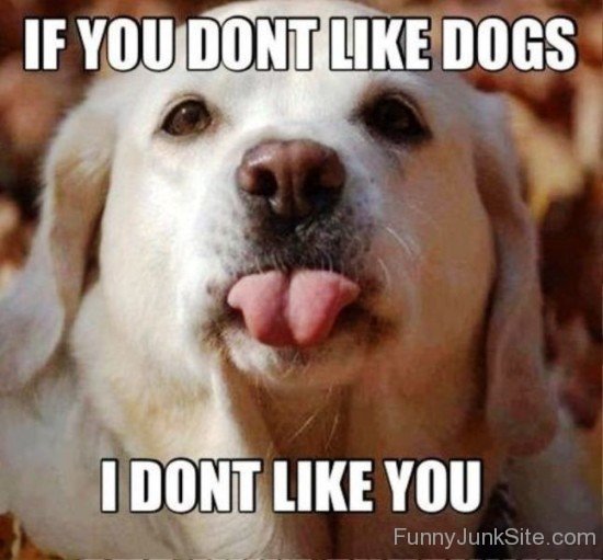If You Don't Like Dogs-teq131