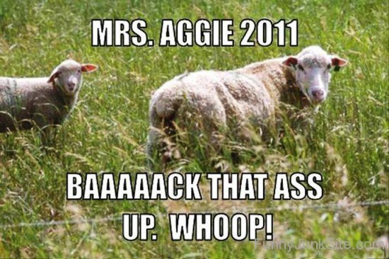 Mrs.Aggie