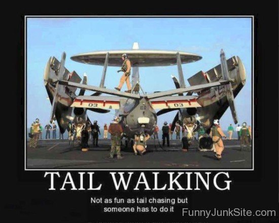 Tail Walking