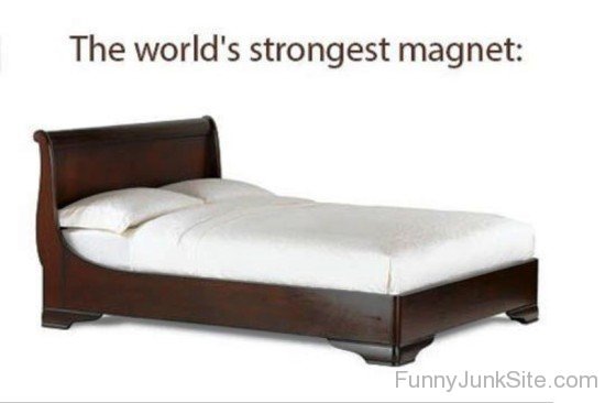 The World's Strongest Magnet-teq158