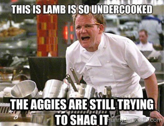 This Is Lamb Is So Undercooked-ujy629