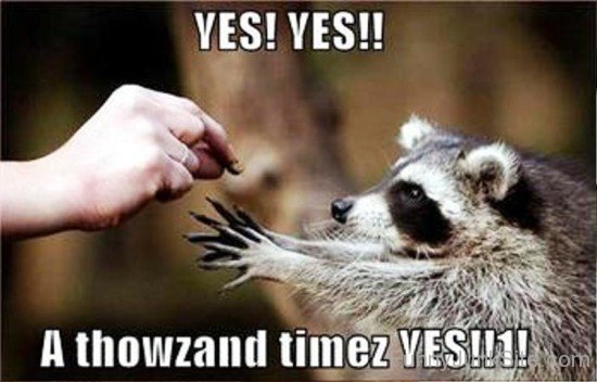 Yes,Yes A Thowzand Times Yes-teq173