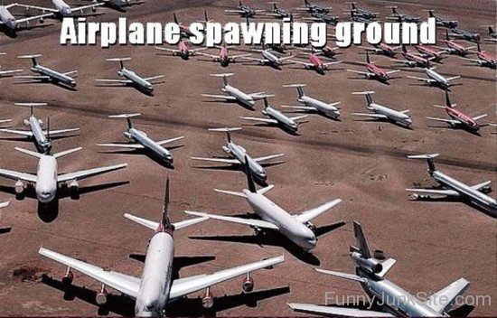 Airplane Spawning Ground-uyx305