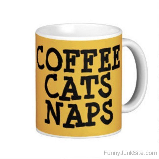 Coffee Cats Naps-uny5026
