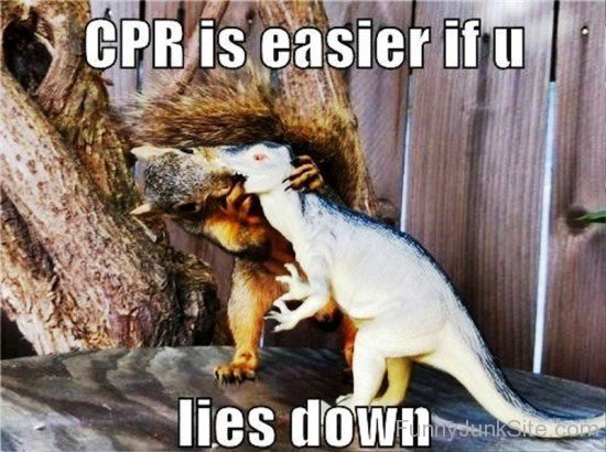 Cpr Is Easier If You Lies Down-rlo907