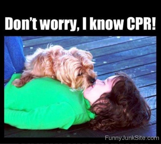 Don't Worry I Know Cpr-rlo913
