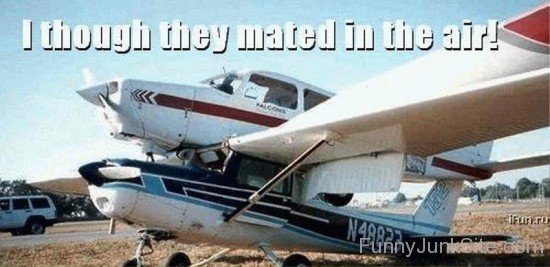 I Though They Mated In The Air-uyx331