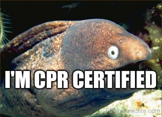 I'm Cpr Certified-rlo919