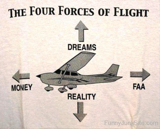 The Four Forces Of Flight-uyx345