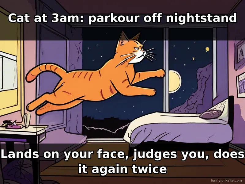 Funny cat meme illustration of wild tabby attacking sleeping owner at 3am, cat humor