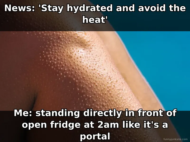 Heat wave meme: person looking into fridge for relief, funny about coping with extreme summer temperatures