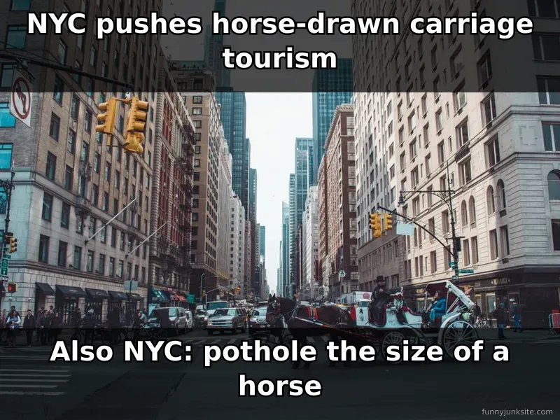 Horse carriage meme about NYC tourism and street conditions, funny city humor
