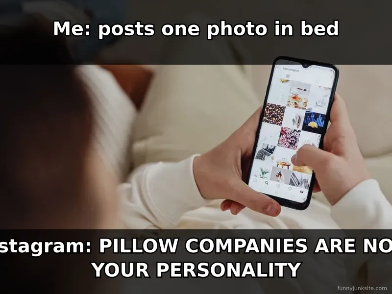 Funny Instagram meme about algorithm learning your interests too well from one post