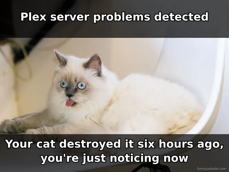 Funny meme about cats causing tech problems and Plex server outages