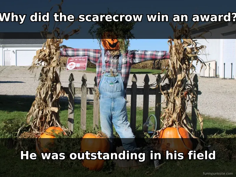 Funny dad joke meme about a scarecrow winning an award for being outstanding in his field