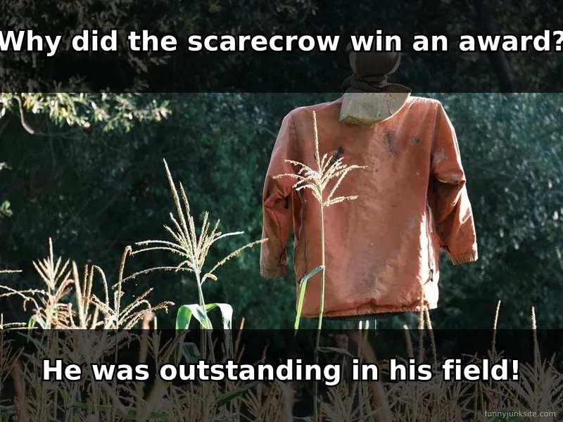 Dad joke meme about scarecrow being outstanding in field, classic corny humor