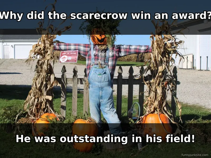 Dad joke meme: scarecrow in cornfield, best dad jokes funny corny pun about farming, classic groan-worthy humor.