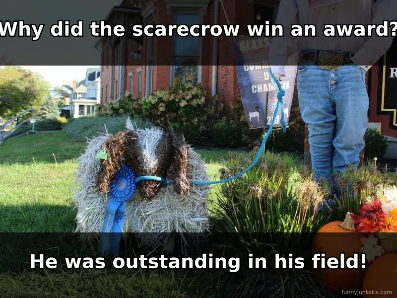 Scarecrow standing in a cornfield with a proud expression, funny dad joke meme about being outstanding