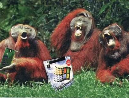 Monkeys Laughing at Windows 98